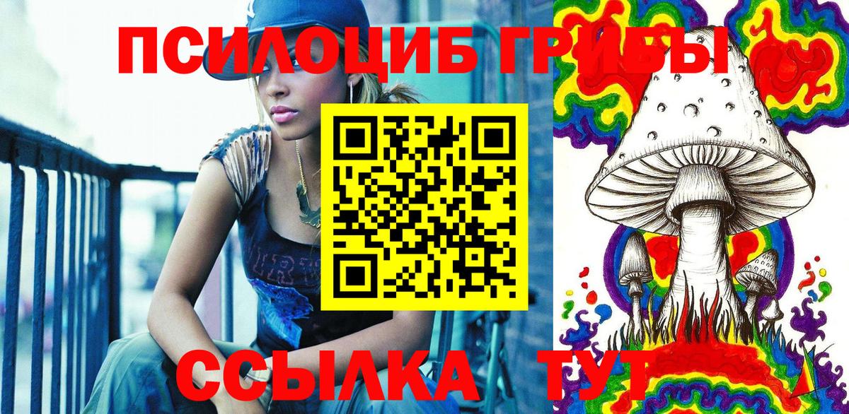 Псилоцибиновые грибы Cubensis  Вход с VPN  Псков  Галлюциногенные грибы Psilocybe 